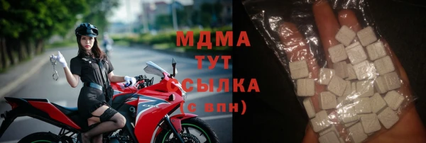 PSILOCYBIN Алзамай