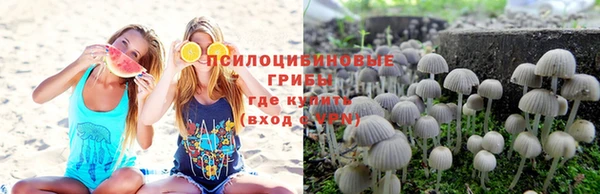 PSILOCYBIN Алзамай